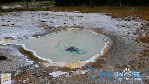 美国最地道旅游攻略1——黄石探险