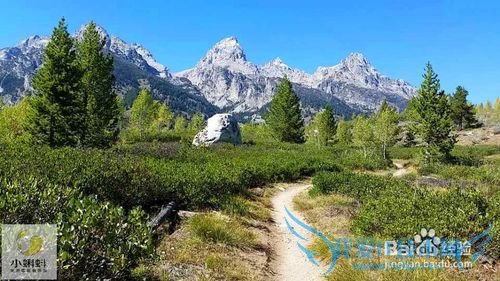 美国最地道旅游攻略1——黄石探险