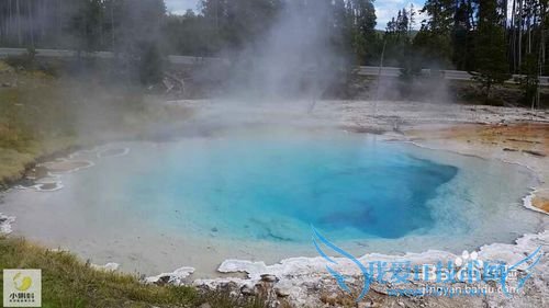 美国最地道旅游攻略1——黄石探险