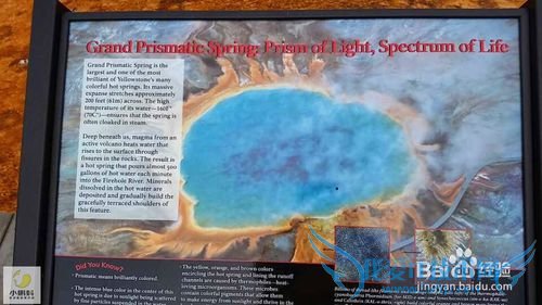 美国最地道旅游攻略1——黄石探险