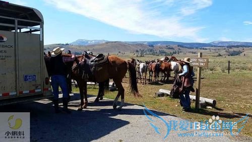 美国最地道旅游攻略1——黄石探险