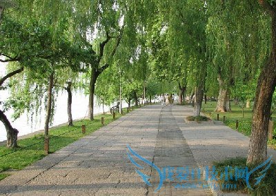 杭州旅游的几点攻略