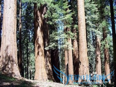 美国旅游热门景点排行榜