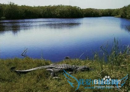 美国旅游热门景点排行榜