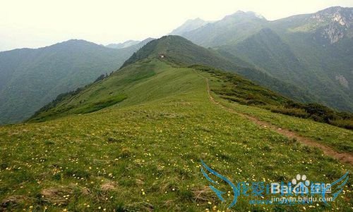 水乐园旅游攻略之柞水岭南水上乐园