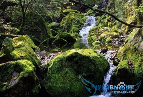 水乐园旅游攻略之柞水岭南水上乐园