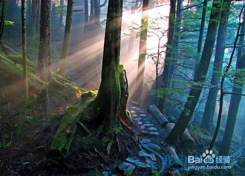 水乐园旅游攻略之柞水岭南水上乐园