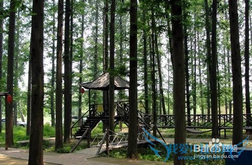 日照旅游--日照吴家台村渔家乐住宿