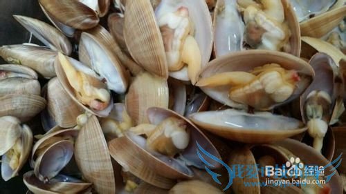 日照旅游--日照吴家台村渔家乐住宿