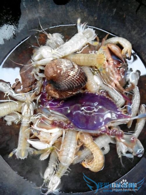 日照旅游--日照吴家台村渔家乐住宿