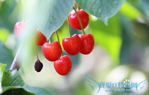 烟台旅游攻略之烟台特产篇