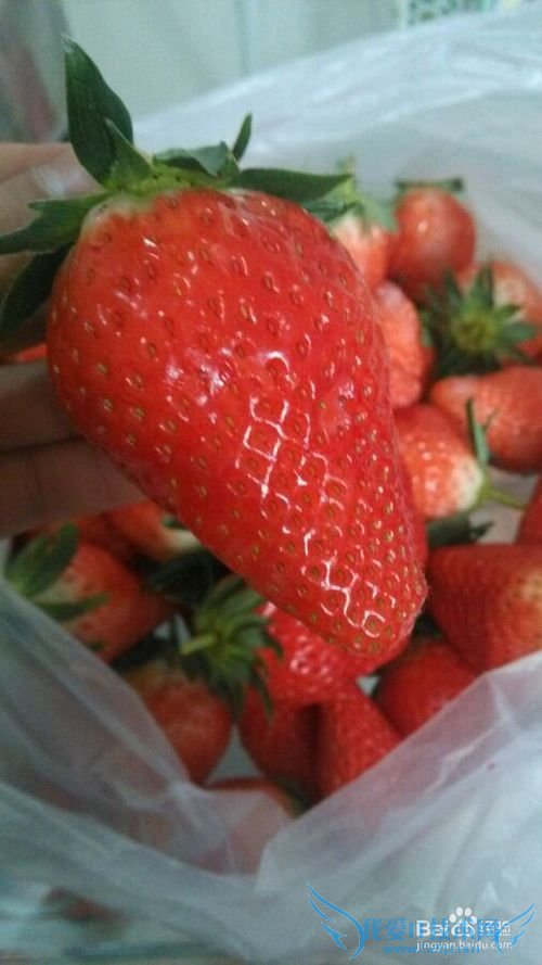 烟台旅游攻略之烟台特产篇