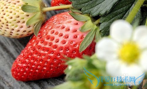 烟台旅游攻略之烟台特产篇