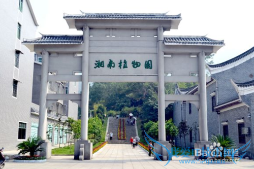 资兴旅游好去处