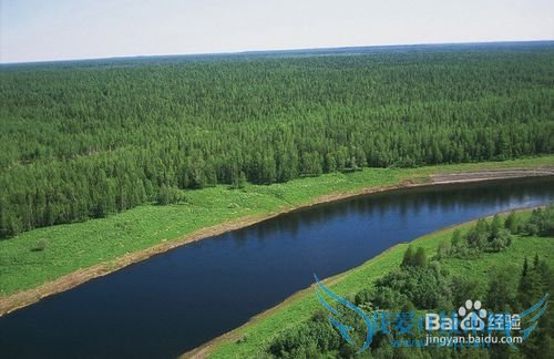 俄罗斯旅游景点介绍-西伯利亚