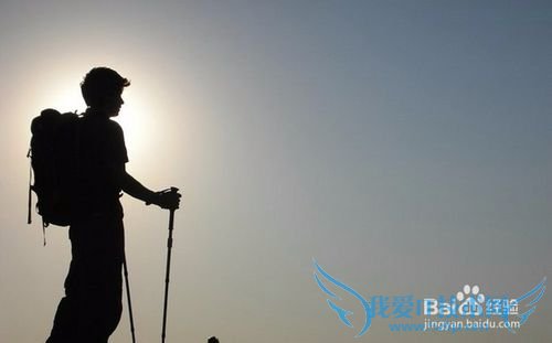 旅游意外险有哪些?