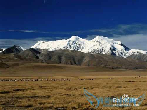 旅游意外险有哪些?