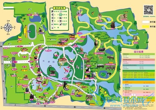 上海野生动物园游玩tips