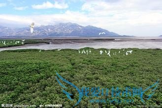 深圳八大免费公园