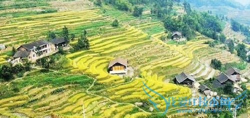 岳阳旅游详细攻略