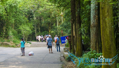 武夷山旅游小攻略