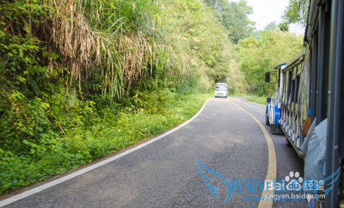 武夷山旅游小攻略