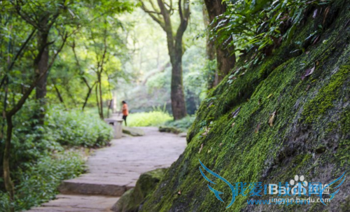 武夷山旅游小攻略