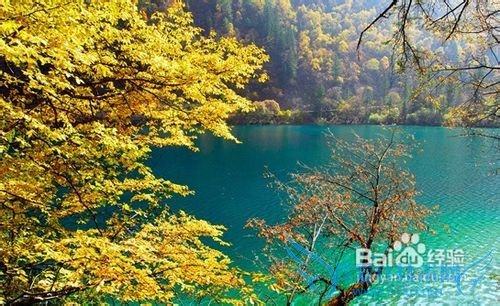 五一九寨沟旅游