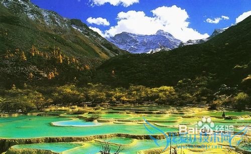 五一九寨沟旅游