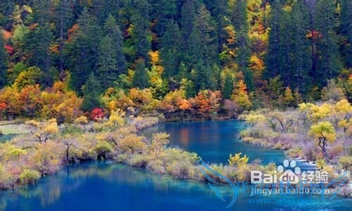 五一九寨沟旅游