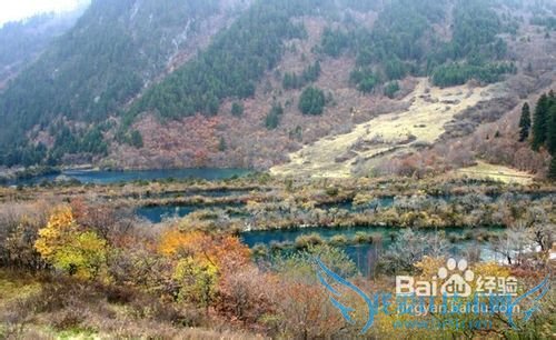 五一九寨沟旅游