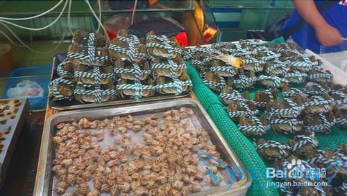 三亚海鲜攻略-三亚旅游防宰攻略