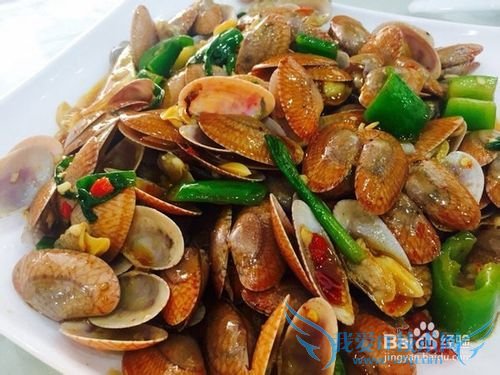 三亚海鲜攻略-三亚旅游防宰攻略