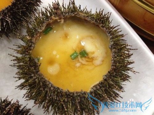 三亚海鲜攻略-三亚旅游防宰攻略