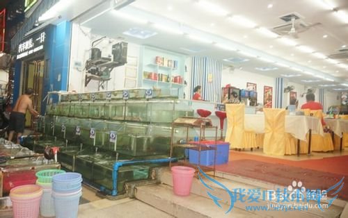 三亚海鲜攻略-三亚旅游防宰攻略