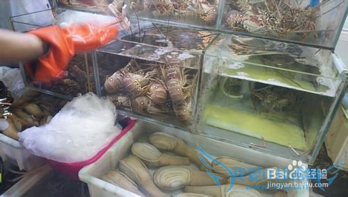 三亚海鲜攻略-三亚旅游防宰攻略