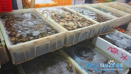 三亚海鲜攻略-三亚旅游防宰攻略