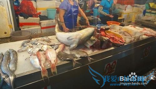 三亚海鲜攻略-三亚旅游防宰攻略