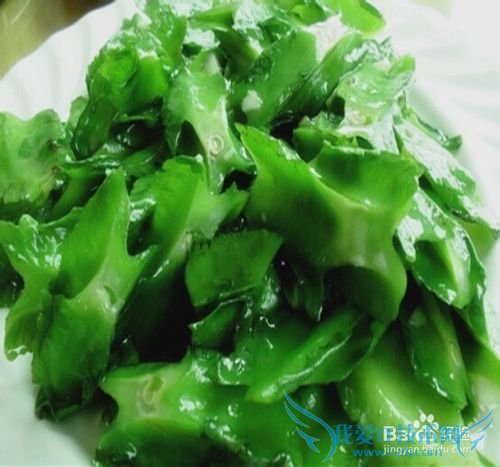 三亚海鲜攻略-三亚旅游防宰攻略