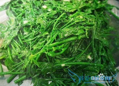 三亚海鲜攻略-三亚旅游防宰攻略