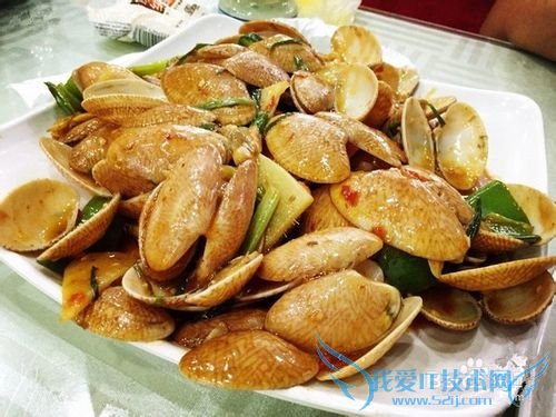 三亚海鲜攻略-三亚旅游防宰攻略