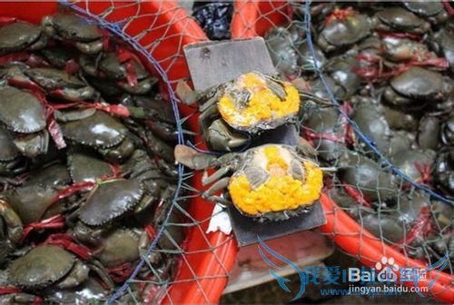 三亚海鲜攻略-三亚旅游防宰攻略