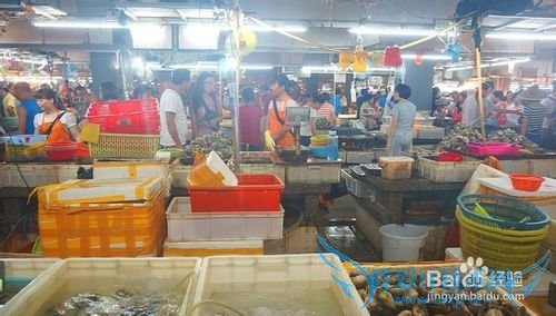 三亚海鲜攻略-三亚旅游防宰攻略