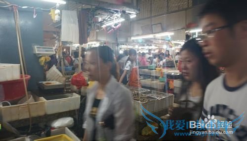 三亚海鲜攻略-三亚旅游防宰攻略