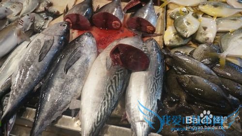 三亚海鲜攻略-三亚旅游防宰攻略