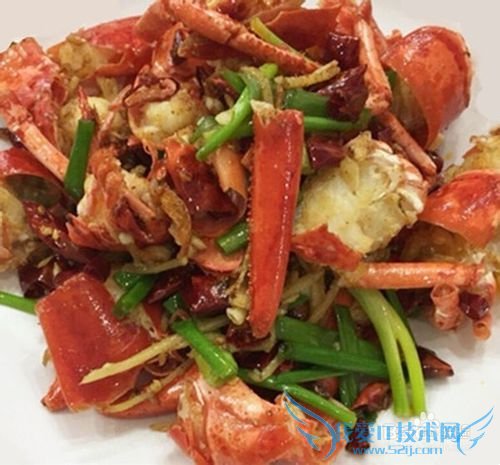 三亚海鲜攻略-三亚旅游防宰攻略