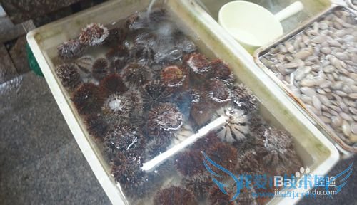 三亚海鲜攻略-三亚旅游防宰攻略