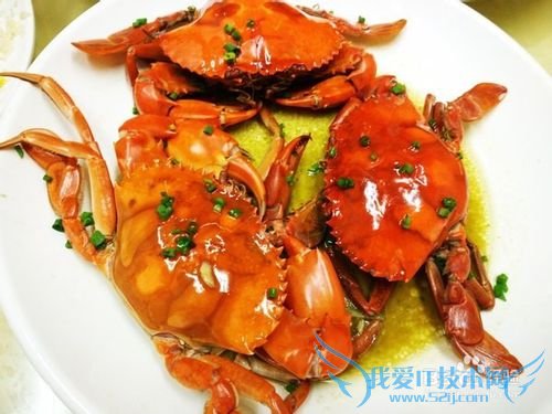 三亚海鲜攻略-三亚旅游防宰攻略