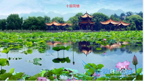 黔西南州有哪些风景区?黔西南州景点。