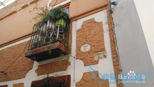 墨西哥旅游攻略三:瓜纳华托